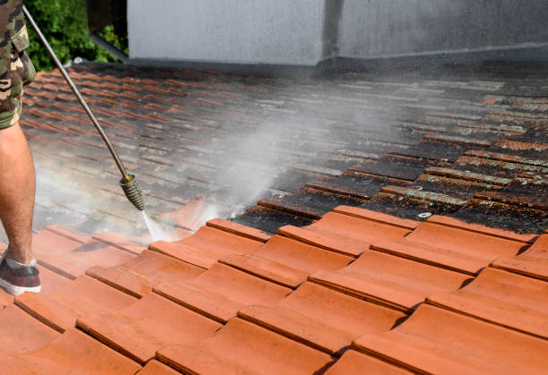 Best Pressure Washing Near Me  in Calumet Park, IL