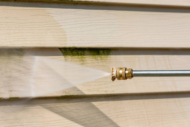 Best Pressure Washing Driveway  in Calumet Park, IL